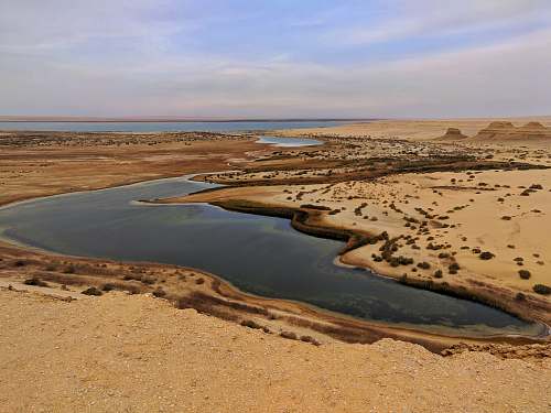 el fayoum seashore 